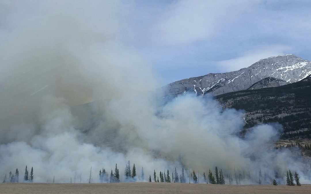 Delito de incendios forestales: qué es, penas y defensa legal