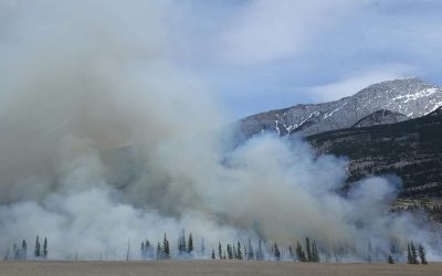 Delito de incendios forestales: qué es, penas y defensa legal
