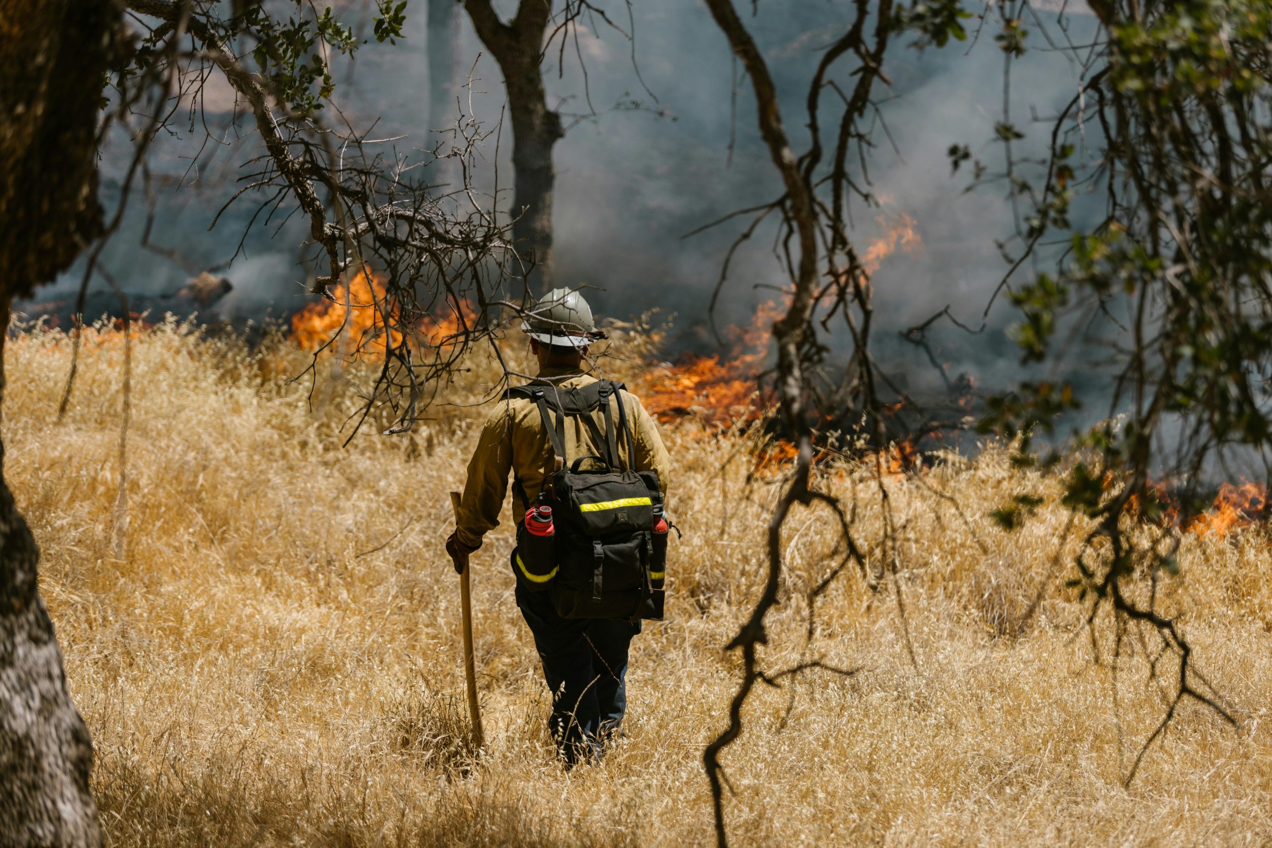 defensa ante delito de incendios forestales